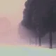 Nature in Motion