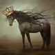 Wealthy horse kings