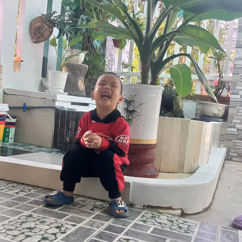 bibebong