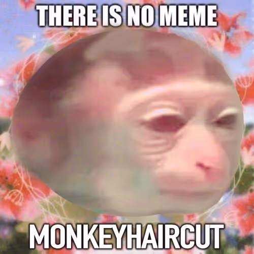 monkeyhaircut👍