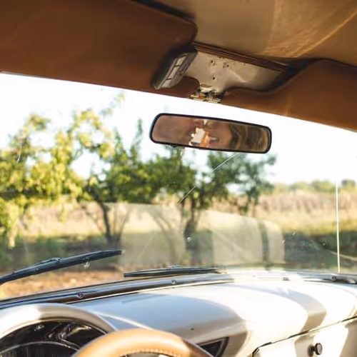 Compliant Scripts Shadow