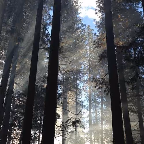 Calculate Less Island