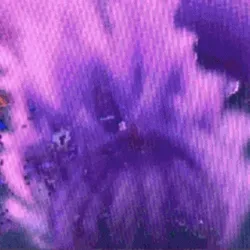 #919