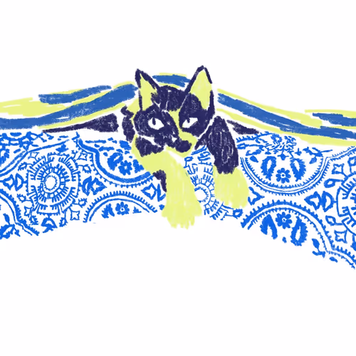 cats