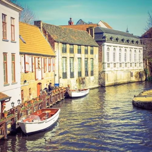 Ridge Irish Distinguished