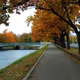 Autumn melody