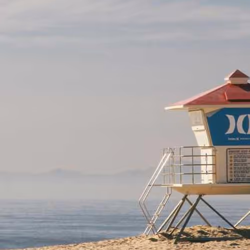 Consciousness Volkswagen Ham