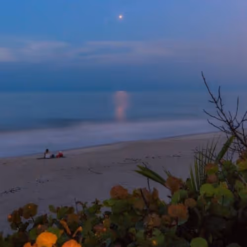 beach