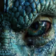 EYE DRAGO