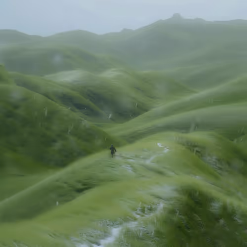 earth’s entropy