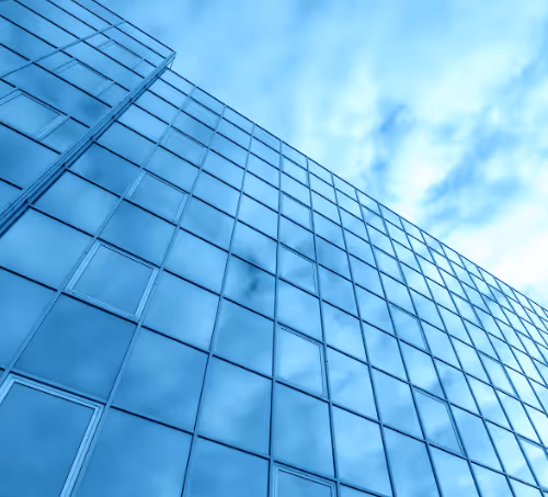 Bleacky's collection