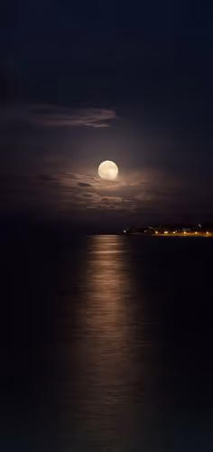 "Moonlit Path on Water"