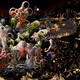 Inner Landscapes