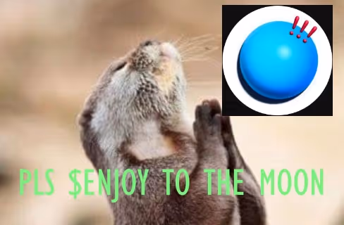 PLS $ENJOY TO THE MOON
