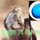 PLS $ENJOY TO THE MOON