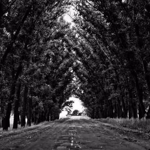 STICK TSUNAMI LONG CYNICAL