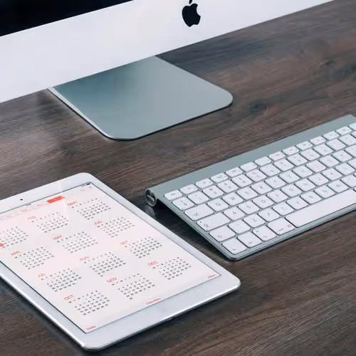 Store Professionals Bugs