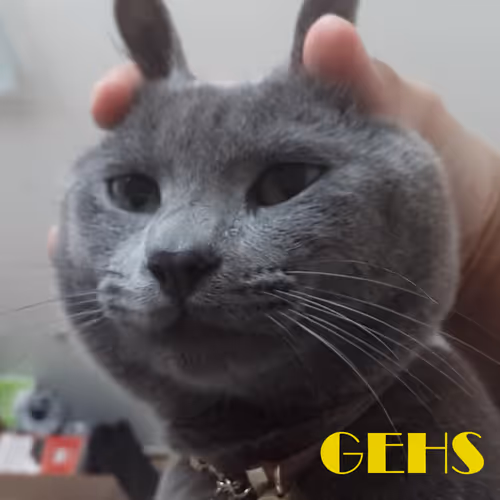 GEHS