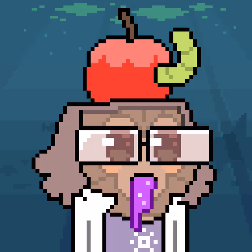 Denewbie Collections