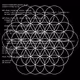 Flower Of Life