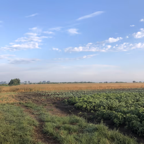Rural Serenity Collection