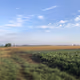 Rural Serenity Collection