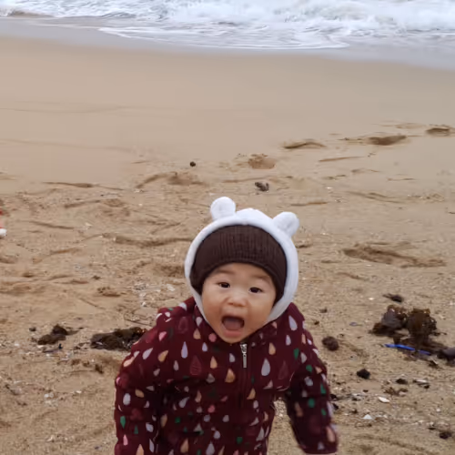 가족