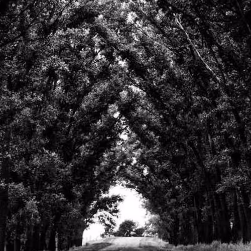 Shown Necessary Talks