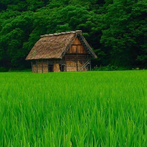 Silence and peace