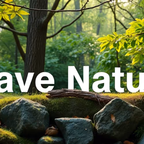 Save Nature