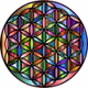 Flower of Life