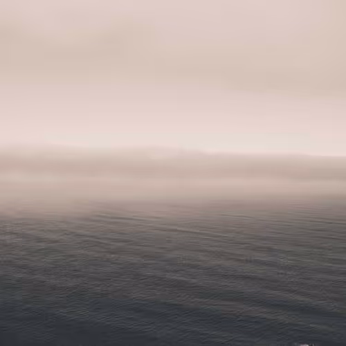 Mj Carter Constraints