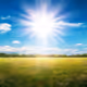 Sunlit Field