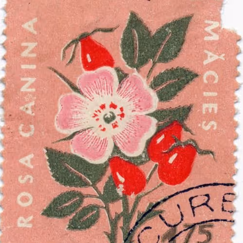 Flowermark
