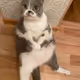 test1