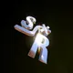 SR for Seed Club: A Shiny Object