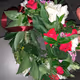 Enjoy flowers
