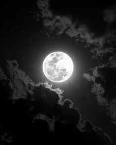 Lunar