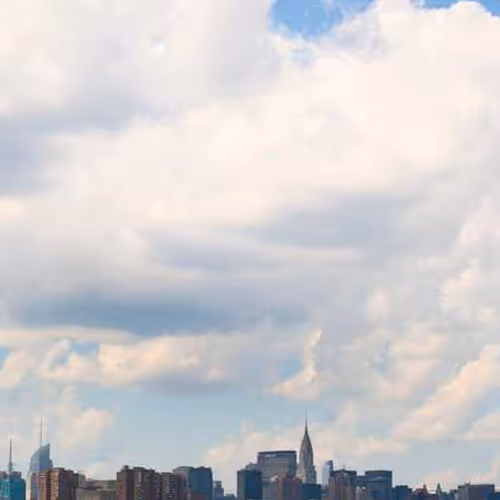 Terminology Pressing