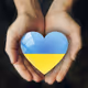 Yellow Blue Heart