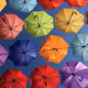 Umbrellas