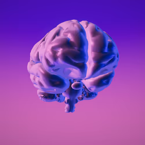 Brain