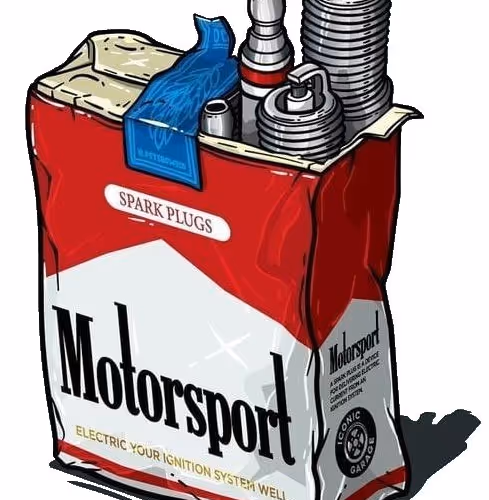 Motorsport