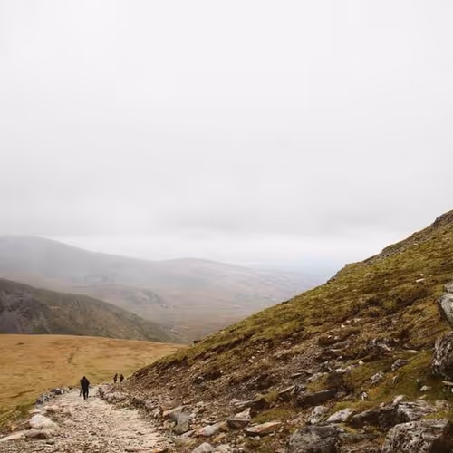 Bakery frying mighty