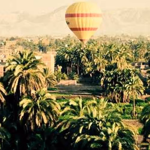 Warranty Sim Portion