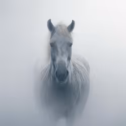 Morning Mist