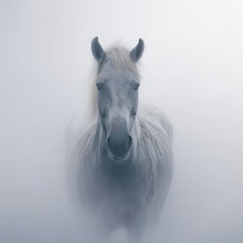 Morning Mist