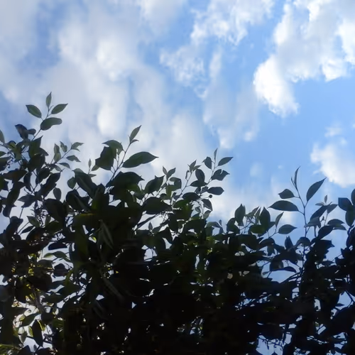 blue sky