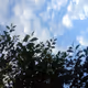 blue sky