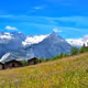 Swiss Summer